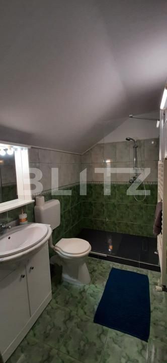 Casa de vânzare 6 camere Valea Manastirii - 162136CV | BLITZ Alba Iulia | Poza14