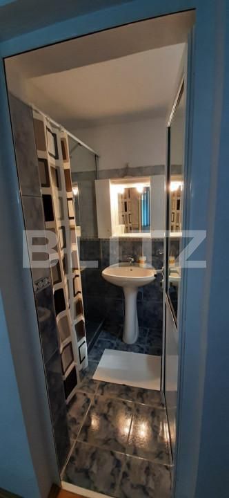 Casa de vânzare 6 camere Valea Manastirii - 162136CV | BLITZ Alba Iulia | Poza13