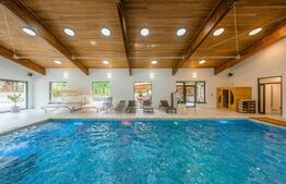 Casa de vacanta pretabila pentru pensiune 