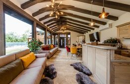 Casa de vacanta pretabila pentru pensiune 