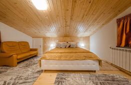 Casa de vacanta pretabila pentru pensiune 