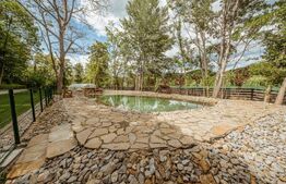 Casa de vacanta pretabila pentru pensiune 