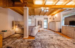 Casa de vacanta pretabila pentru pensiune 