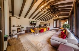 Casa de vacanta pretabila pentru pensiune 