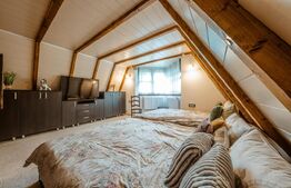 Casa de vacanta pretabila pentru pensiune 