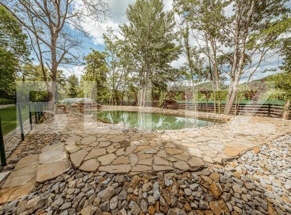 Casa de vânzare 3 camere Geoagiu de Sus - 162137CV | BLITZ Alba Iulia | Poza8