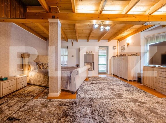 Casa de vânzare 3 camere Geoagiu de Sus - 162137CV | BLITZ Alba Iulia | Poza13