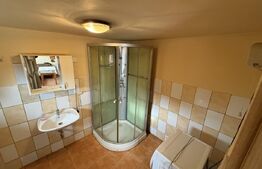 Casa Individuala in Feisa aproape de Blaj