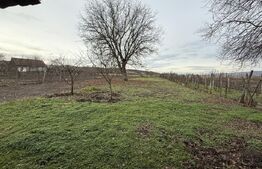 Casa Individuala in Feisa aproape de Blaj