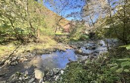 Casă de Vis - Ideală pentru casă de vacanta sau locuinta