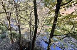 Casă de Vis - Ideală pentru casă de vacanta sau locuinta