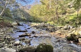 Casă de Vis - Ideală pentru casă de vacanta sau locuinta