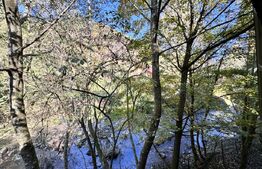 Casă de Vis - Ideală pentru casă de vacanta sau locuinta