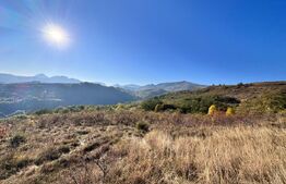 Teren de vanzare pretabil pentru cabana 