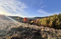 Teren de vanzare la drum asfaltat Ramet