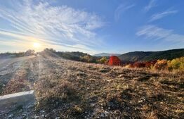 Teren de vanzare la drum asfaltat Ramet