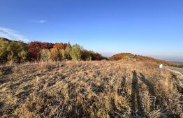 Teren de vanzare la drum asfaltat Ramet