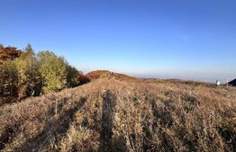 Teren de vanzare la drum asfaltat Ramet