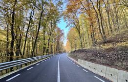 Teren de vanzare la drum asfaltat Ramet