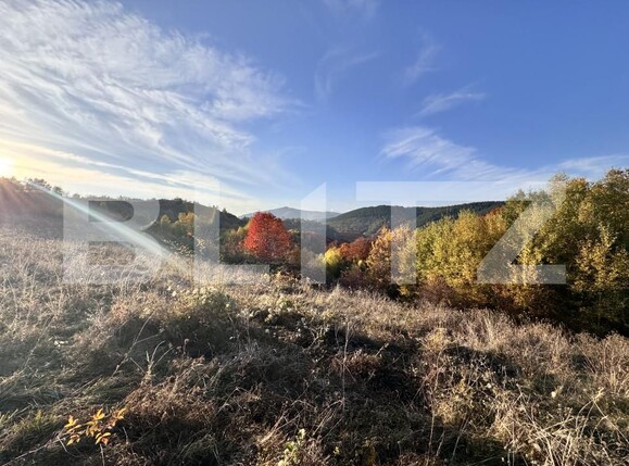 Teren de vânzare Aiud - 162142TV | BLITZ Alba Iulia | Poza4