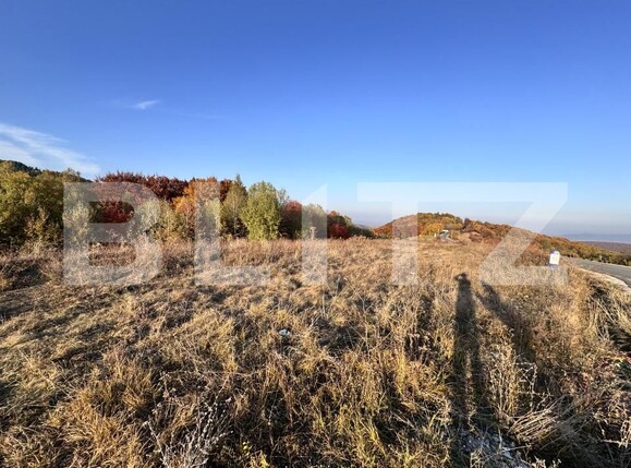 Teren de vânzare Aiud - 162142TV | BLITZ Alba Iulia | Poza5