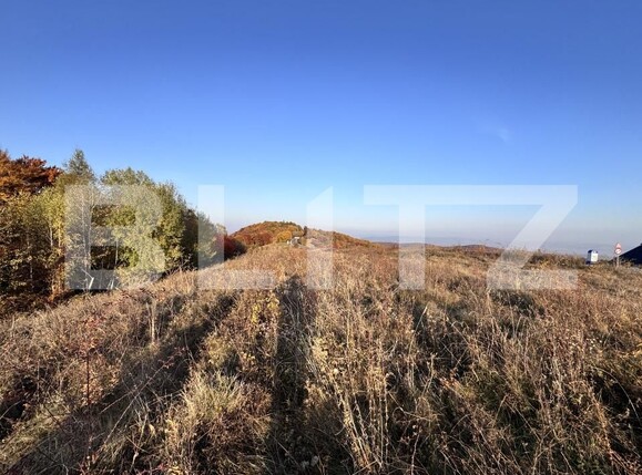 Teren de vânzare Aiud - 162142TV | BLITZ Alba Iulia | Poza6