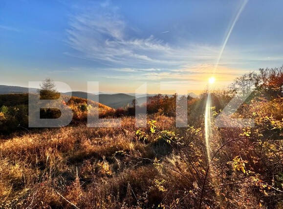 Teren de vânzare Aiud - 162143TV | BLITZ Alba Iulia | Poza1