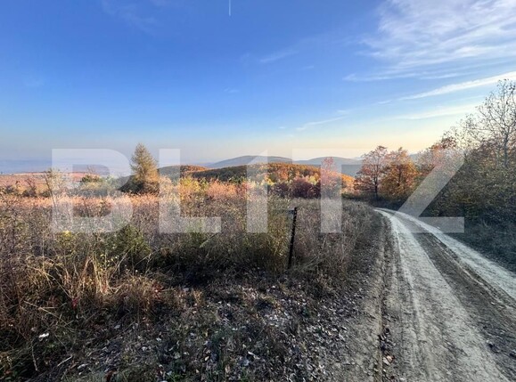 Teren de vânzare Aiud - 162143TV | BLITZ Alba Iulia | Poza2