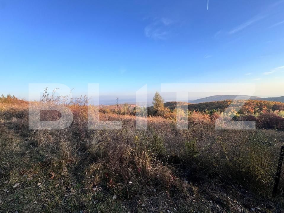 Teren de vânzare Aiud - 162143TV | BLITZ Alba Iulia | Poza3