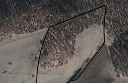 Teren extravilan 5 ha, din care 2.5 padure si 2.5 pasune, zona Sard