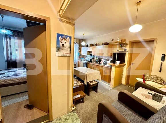 Apartament de vânzare 3 camere Cetate - 162181AV | BLITZ Alba Iulia | Poza6