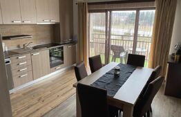 Apartament cu gradina, 3 camere, 80 mp, Blaj