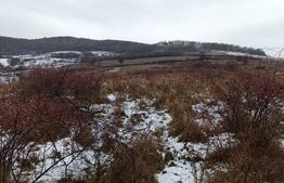 Teren de vanzare, 3900 mp, zona skit