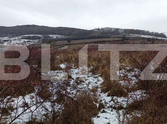 Teren de vânzare Cetate - 162233TV | BLITZ Alba Iulia | Poza1