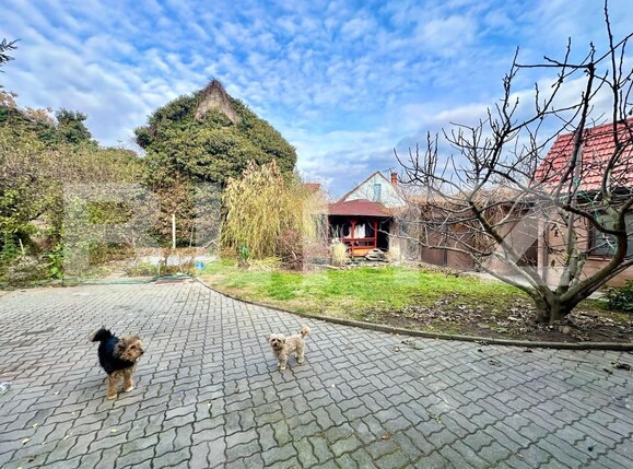 Casa de vânzare 5 camere Central - 162383CV | BLITZ Alba Iulia | Poza5