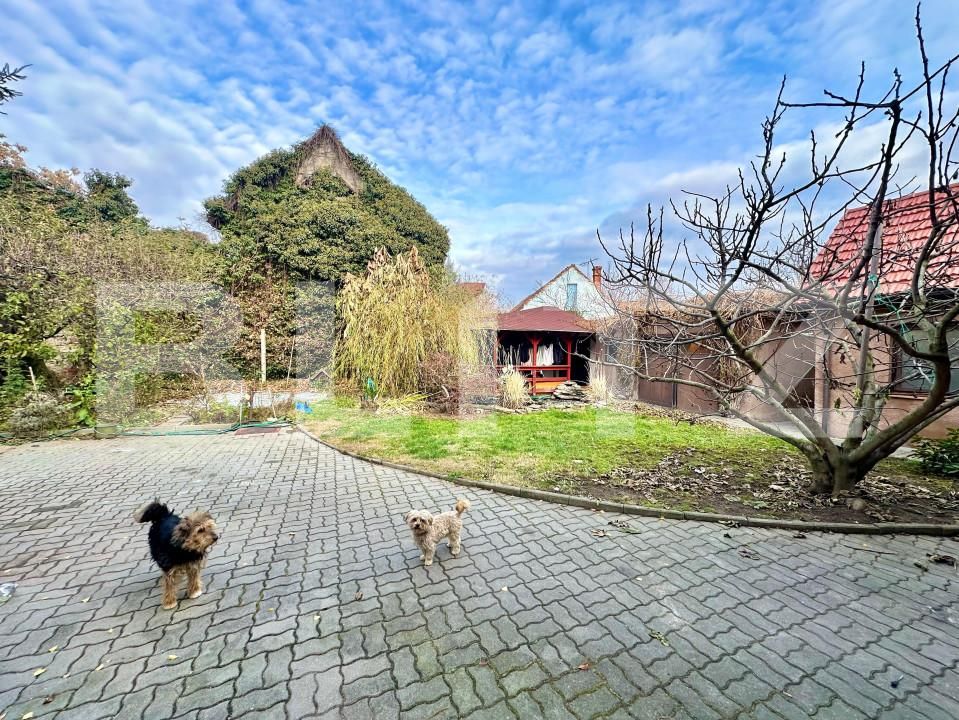 Casa de vânzare 5 camere Central - 162383CV | BLITZ Alba Iulia | Poza5