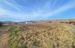 Teren Intravilan Sard, 13000mp