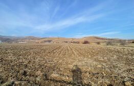 Teren Intravilan Sard, 13000mp