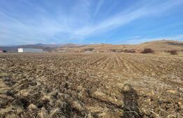 Teren Intravilan Sard, 13000mp