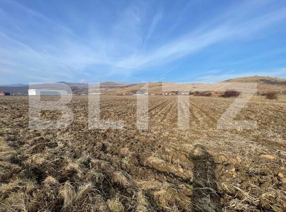 Teren de vânzare Sard - 162421TV | BLITZ Alba Iulia | Poza2