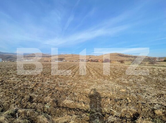 Teren de vânzare Sard - 162421TV | BLITZ Alba Iulia | Poza1