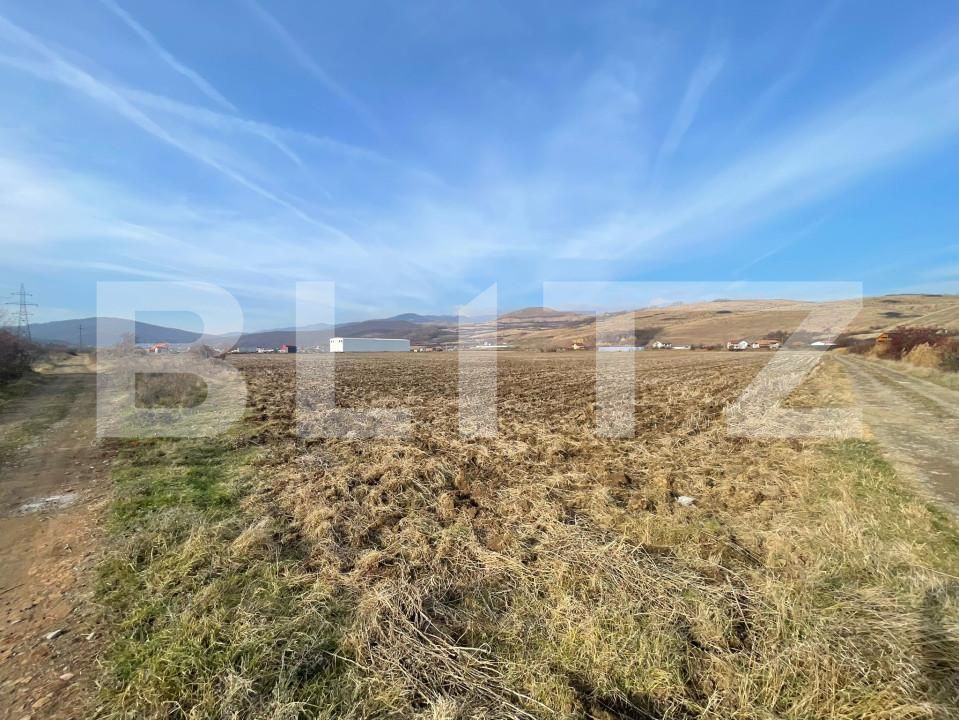 Teren de vânzare Sard - 162421TV | BLITZ Alba Iulia | Poza3