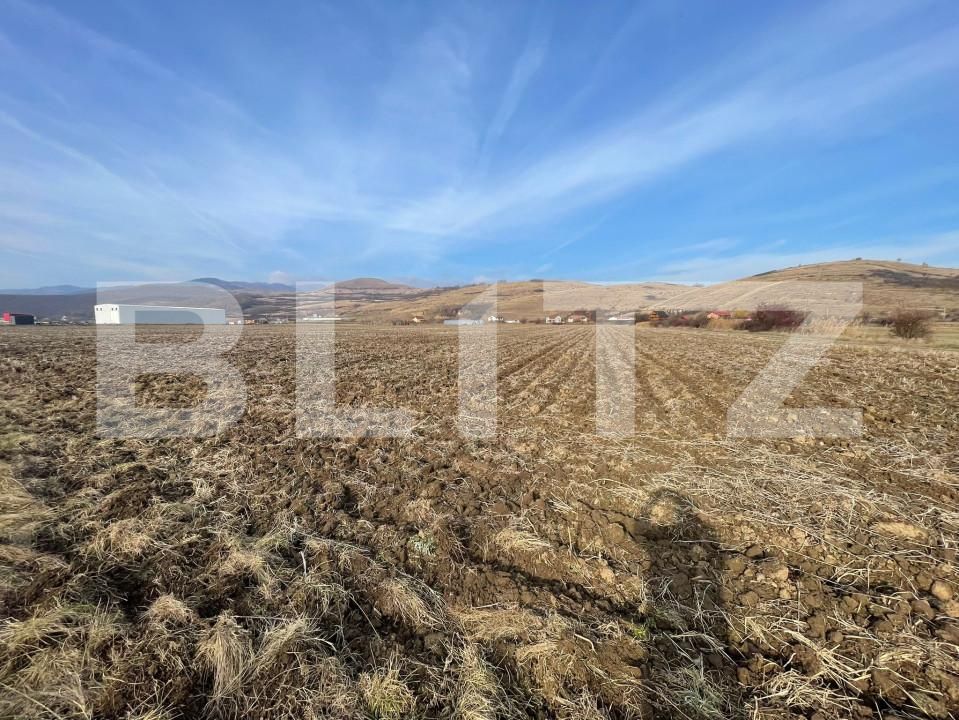 Teren de vânzare Sard - 162421TV | BLITZ Alba Iulia | Poza2