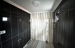 Casa cu 2 camere, fara curte, zona Centrala, cartier Zăvoi - Sebes