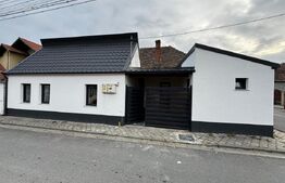 Casa cu 2 camere, fara curte, zona Centrala, cartier Zăvoi - Sebes