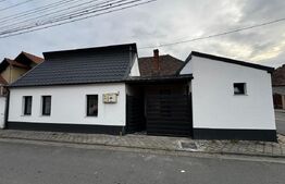 Casa cu 2 camere, fara curte, zona Centrala, cartier Zăvoi - Sebes