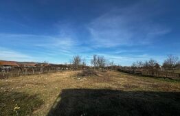 Casă 3 camere cu 2000mp teren, zona Mihalț