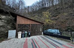 Casă cu 240mp utili, teren, 955 mp zona Mărtinie - Transalpina