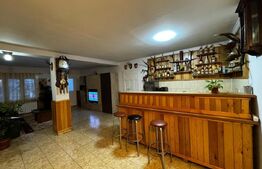 Casă cu 240mp utili, teren, 955 mp zona Mărtinie - Transalpina