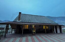 Casă cu 240mp utili, teren, 955 mp zona Mărtinie - Transalpina